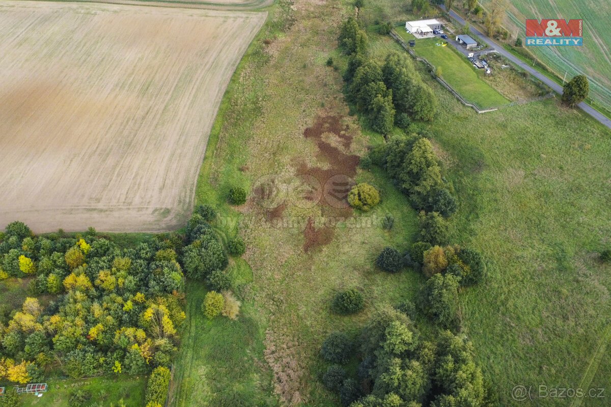 Prodej pozemku 8900 m2 v Žirovicích u Františkových Lázních