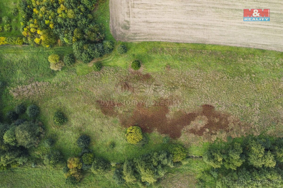 Prodej pozemku 8900 m2 v Žirovicích u Františkových Lázních