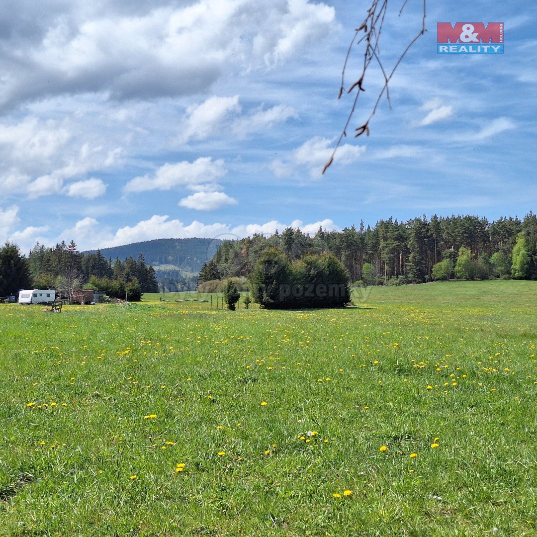 Prodej louky, 5 959 m², Zdíkov