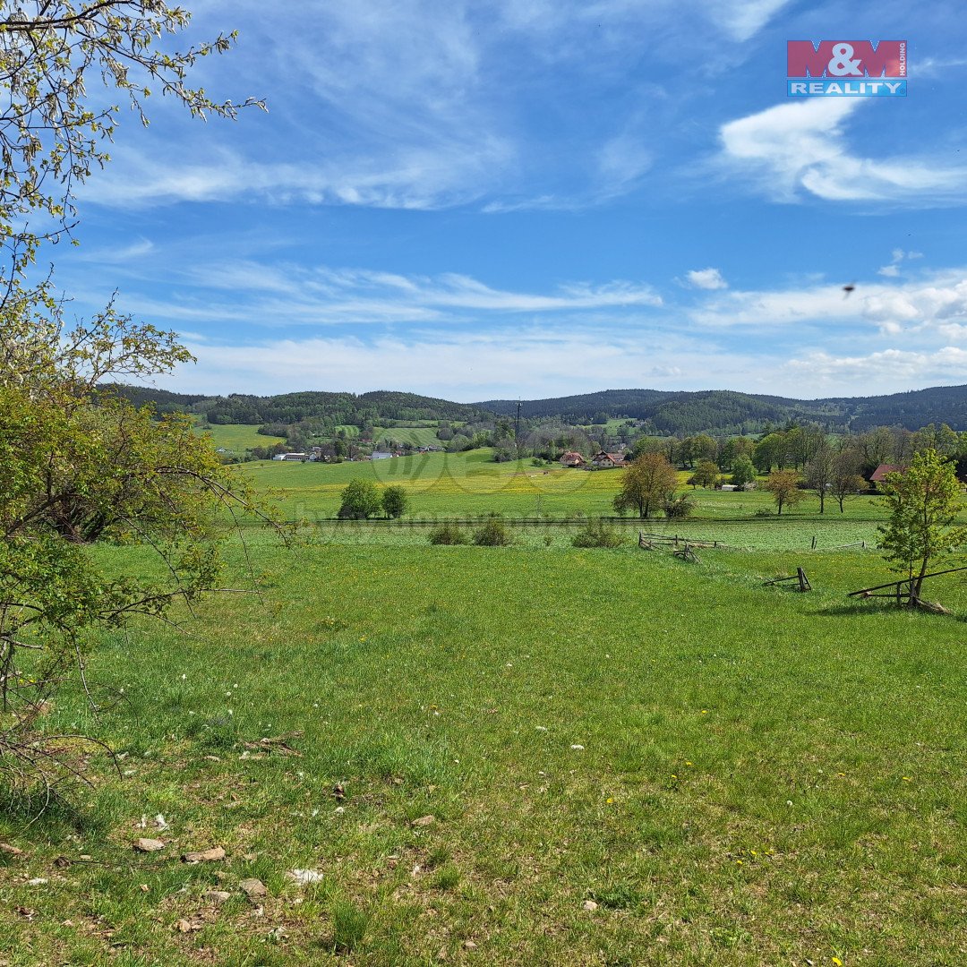Prodej louky, 5 959 m², Zdíkov