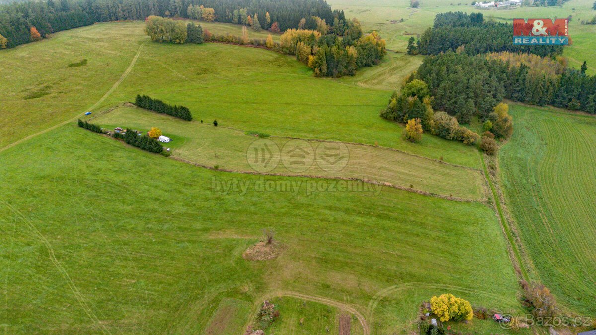 Prodej louky, 5 959 m², Zdíkov