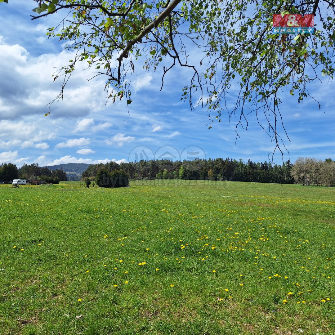 Prodej louky, 5 959 m², Zdíkov