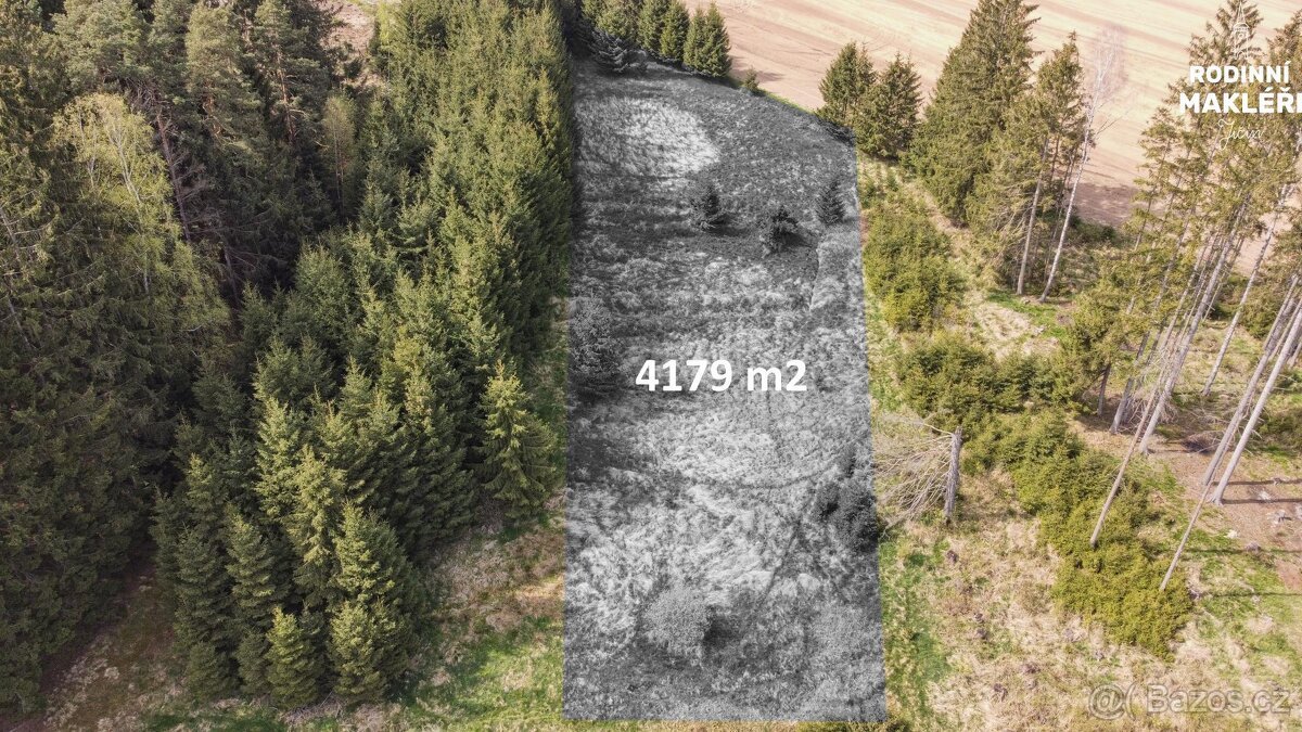 Trvalý travní porost, 4179 m2, Poděšín, okr. Žďár nad Sázavo