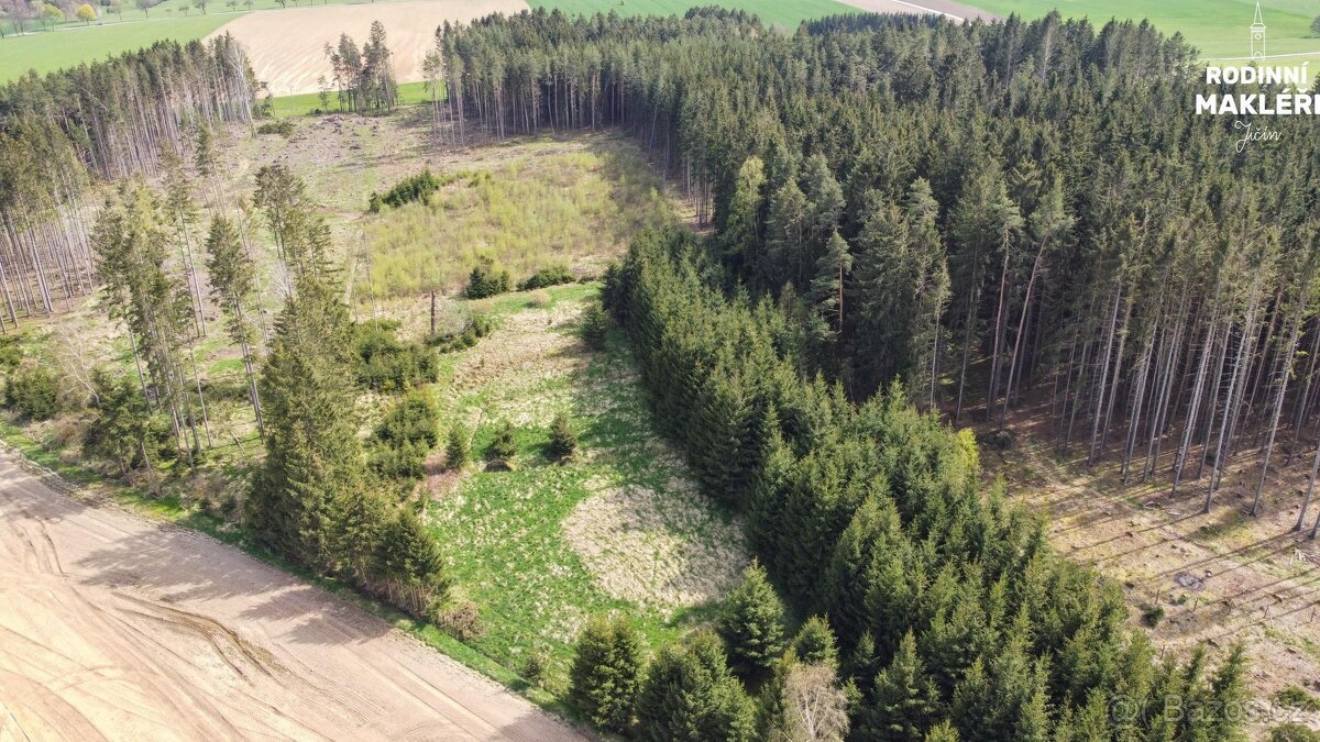 Trvalý travní porost, 4179 m2, Poděšín, okr. Žďár nad Sázavo