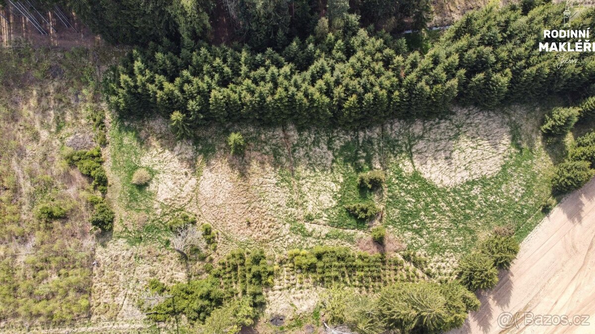 Trvalý travní porost, 4179 m2, Poděšín, okr. Žďár nad Sázavo