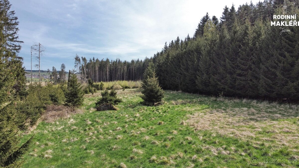 Trvalý travní porost, 4179 m2, Poděšín, okr. Žďár nad Sázavo