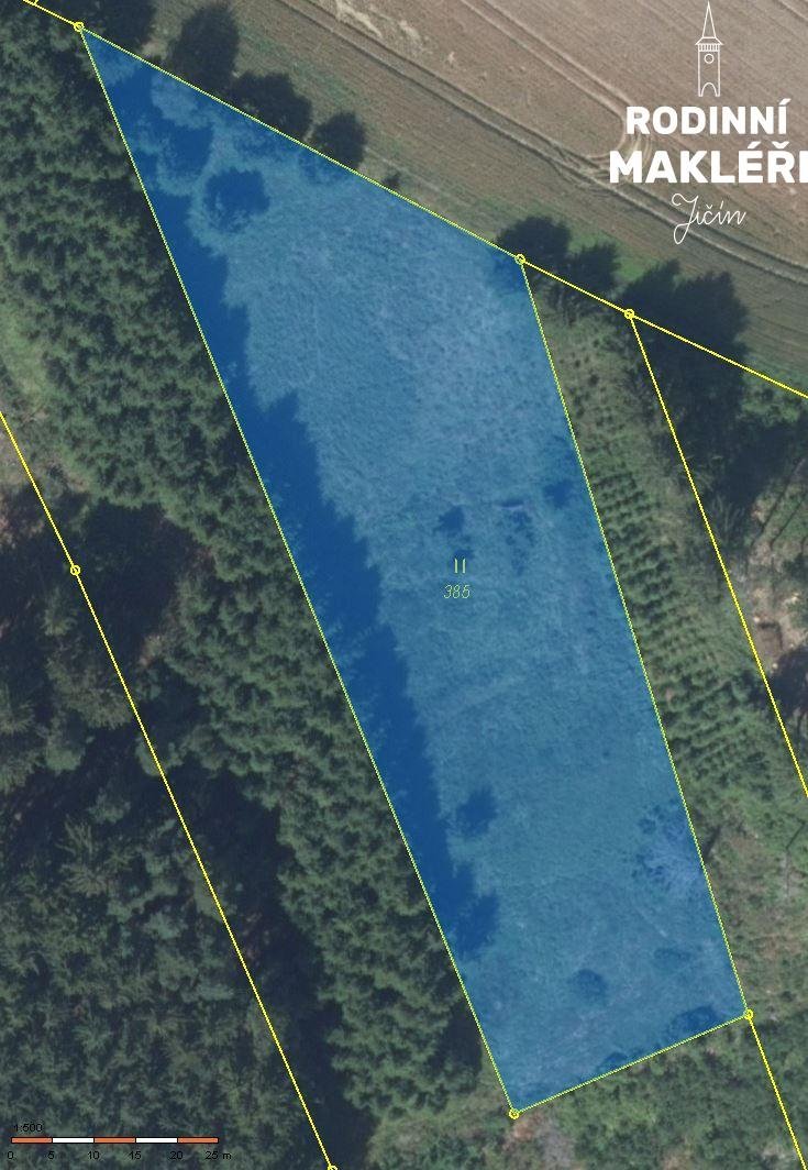 Trvalý travní porost, 4179 m2, Poděšín, okr. Žďár nad Sázavo