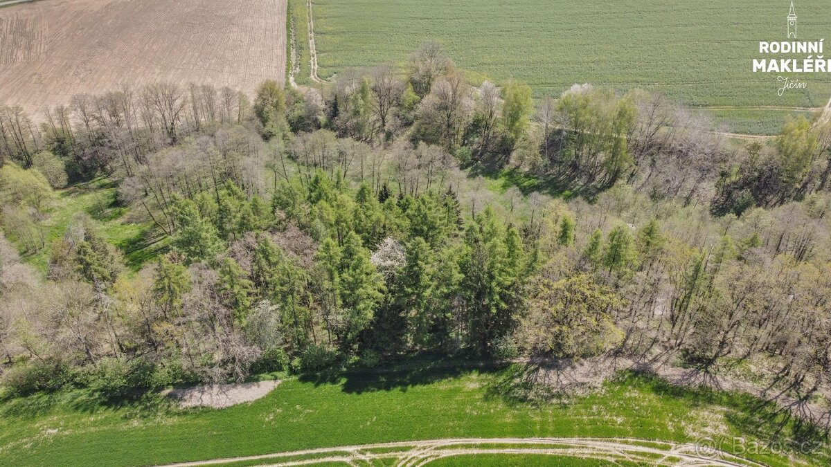 Prodej pozemku, kú Klášter u Vilémova