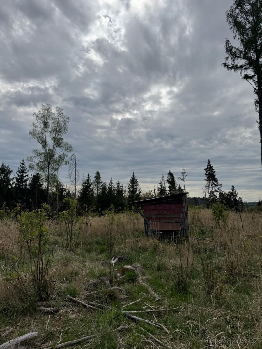 Prodám lesní pozemek v k.ú. Vadčice