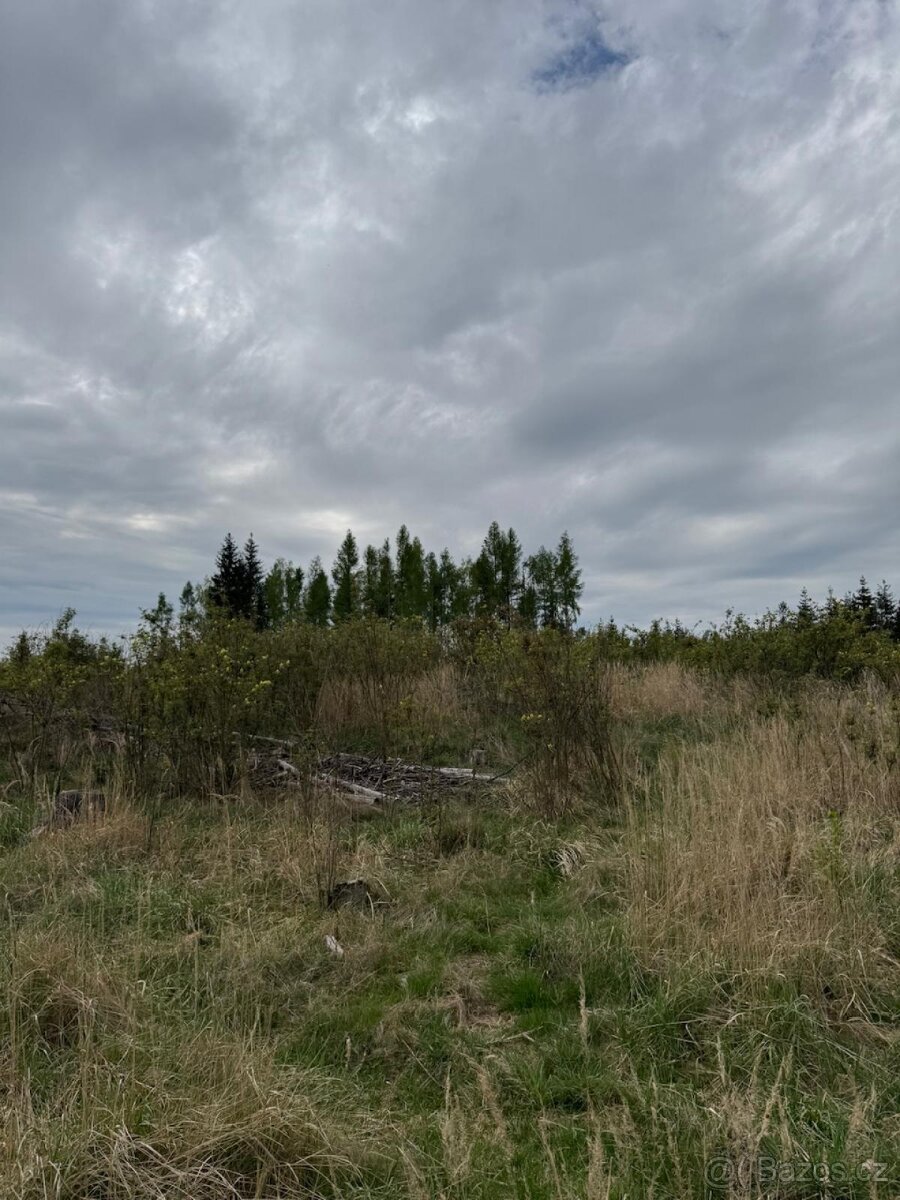 Prodám lesní pozemek v k.ú. Vadčice