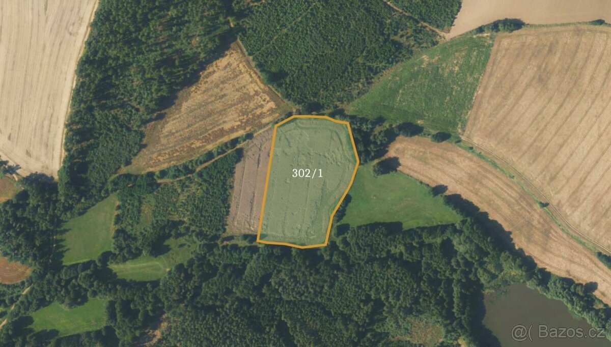 Zemědělská půda, prodej, Borovná, Jihlava