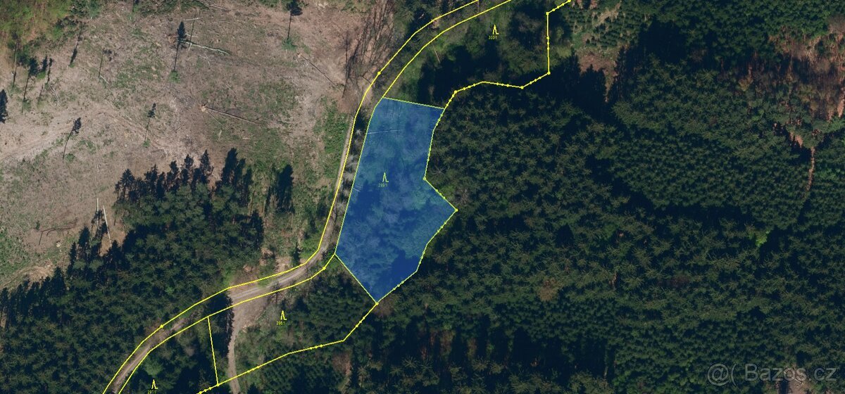 Prodám lesní pozemek v k.ú. Souboř