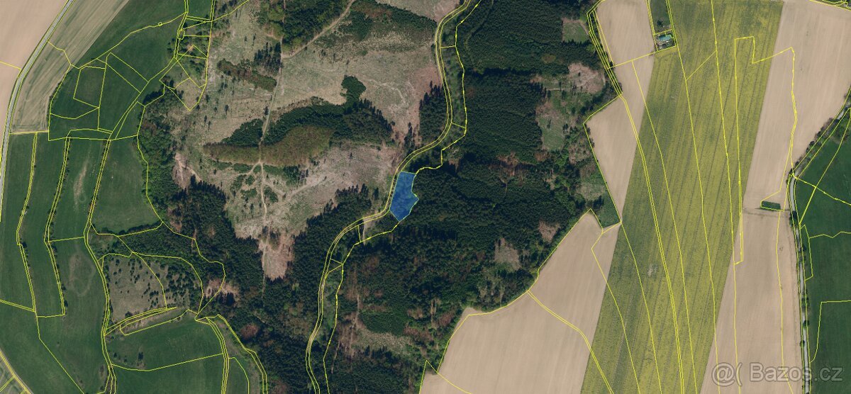 Prodám lesní pozemek v k.ú. Souboř