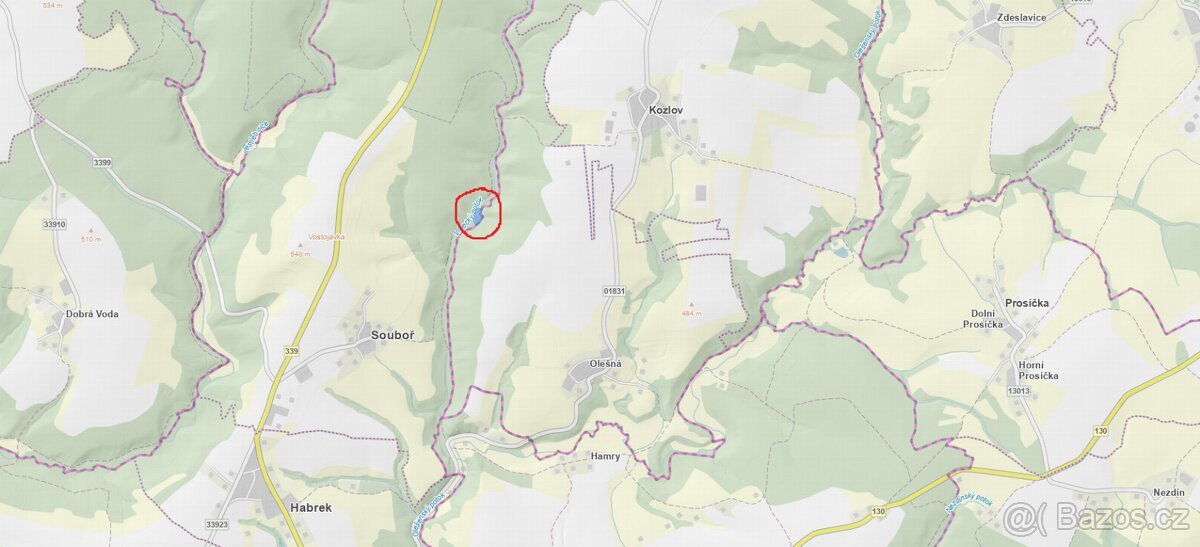 Prodám lesní pozemek v k.ú. Souboř