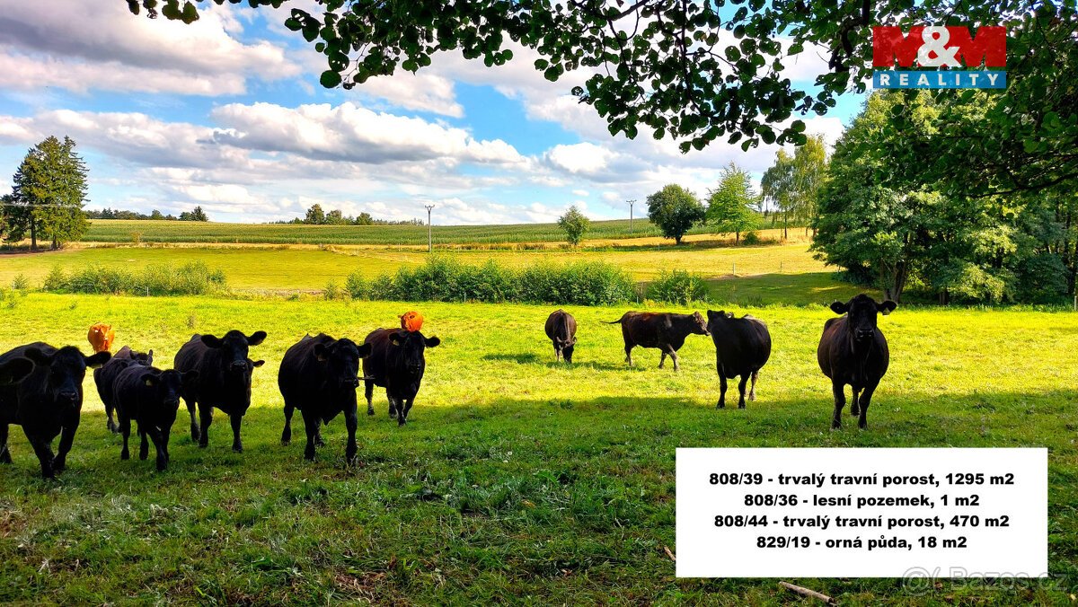 Prodej pole, 27953 m², Štoky