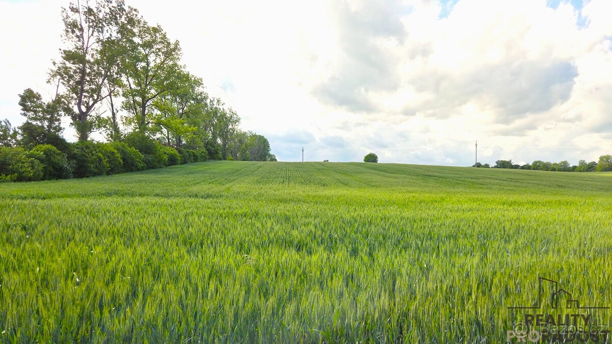 Prodej pozemků 2649 m2 v Kyjově - Nětčicích