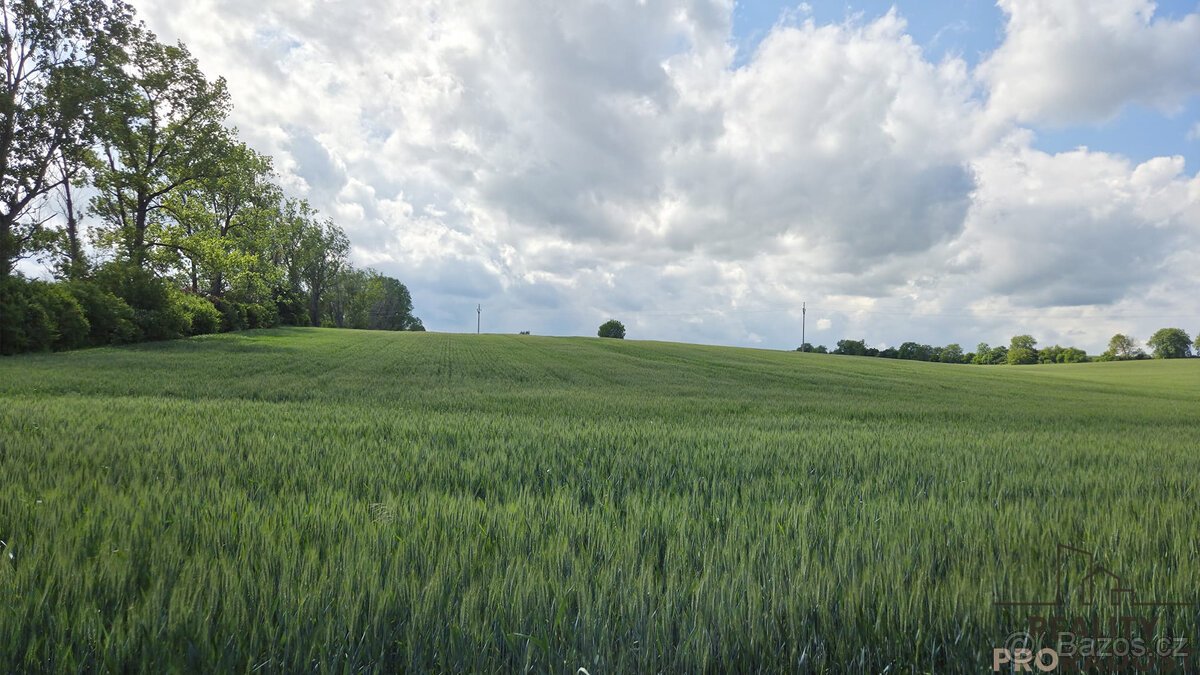 Prodej pozemků 2649 m2 v Kyjově - Nětčicích