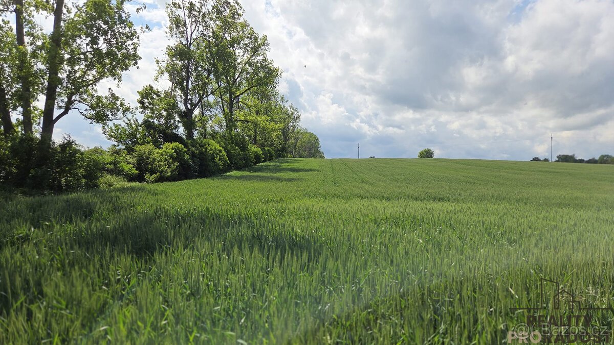 Prodej pozemků 2649 m2 v Kyjově - Nětčicích