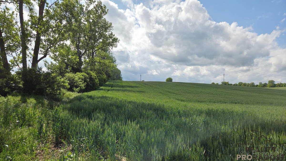 Prodej pozemků 2649 m2 v Kyjově - Nětčicích