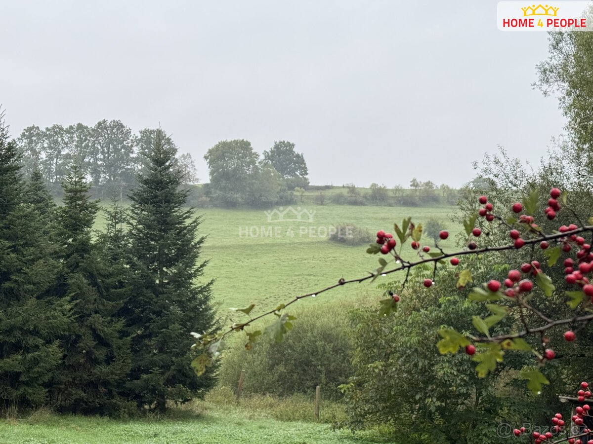 prodej pozemku u Netolic