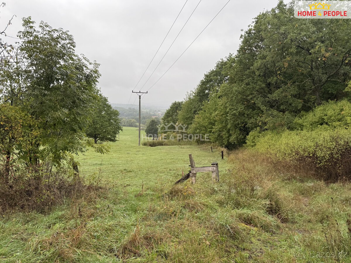 prodej pozemku u Netolic