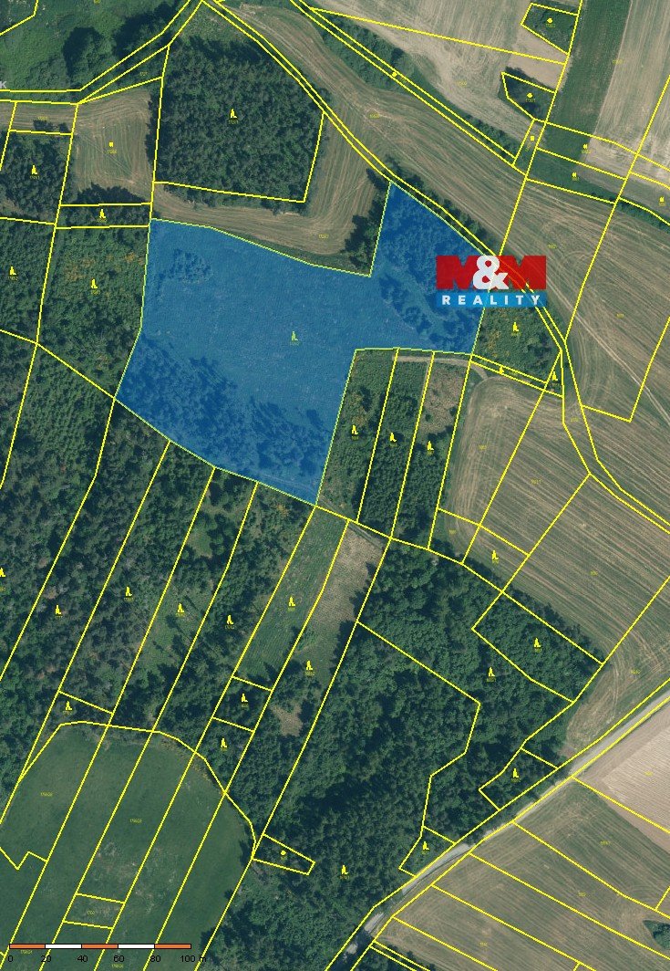 Prodej lesa, 19057 m², Malý Bor
