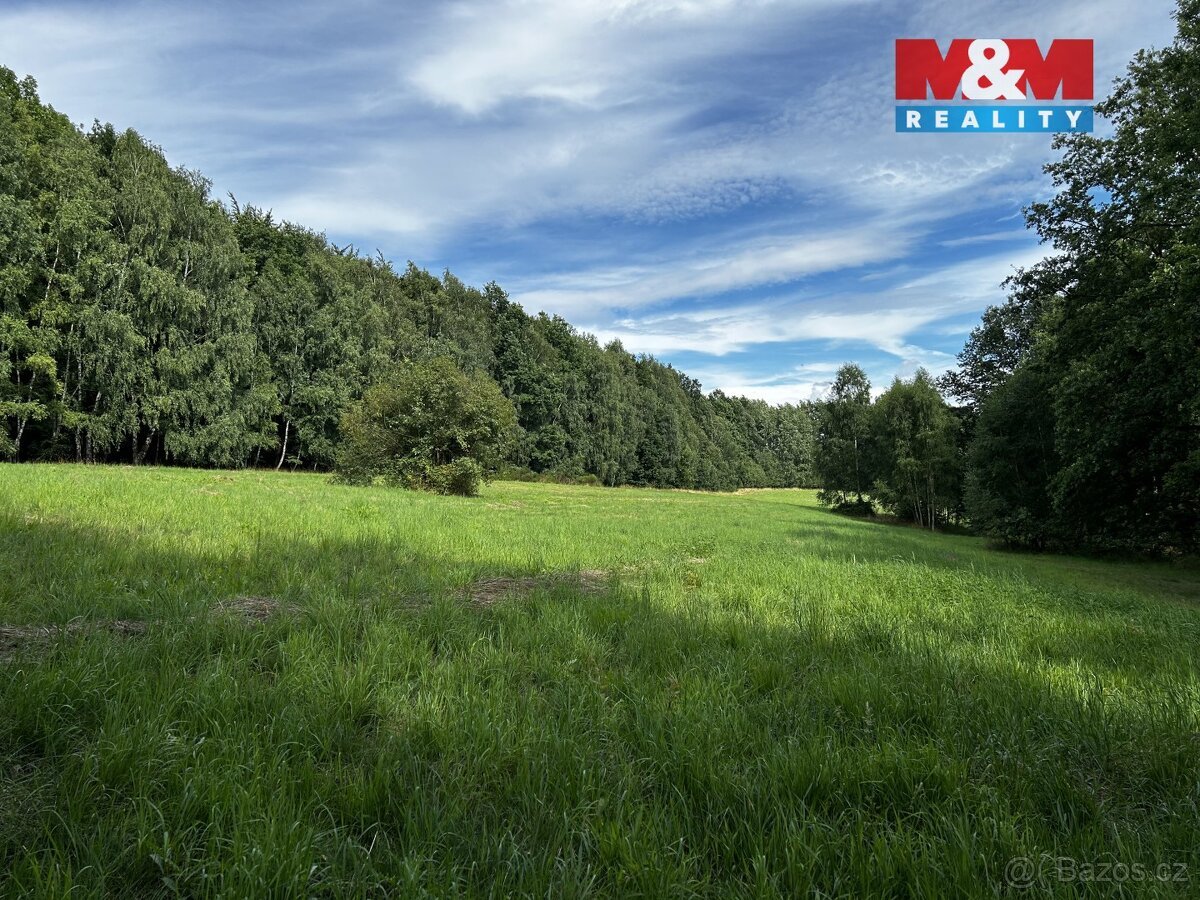 Prodej louky, 7691 m², Petrovice u Karviné