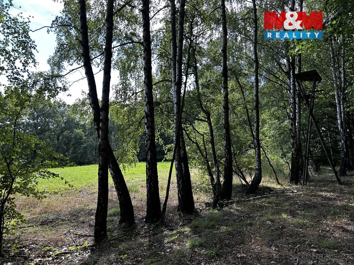 Prodej louky, 7691 m², Petrovice u Karviné