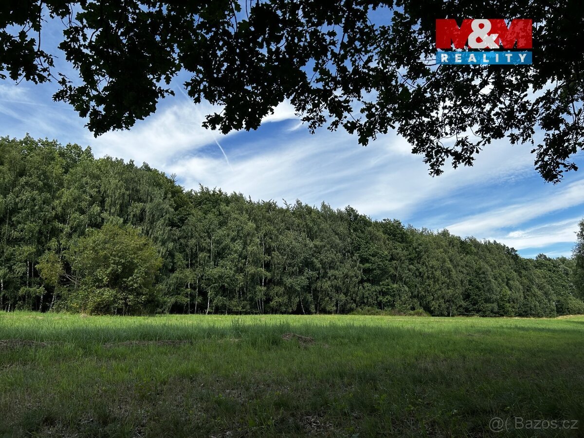 Prodej louky, 7691 m², Petrovice u Karviné