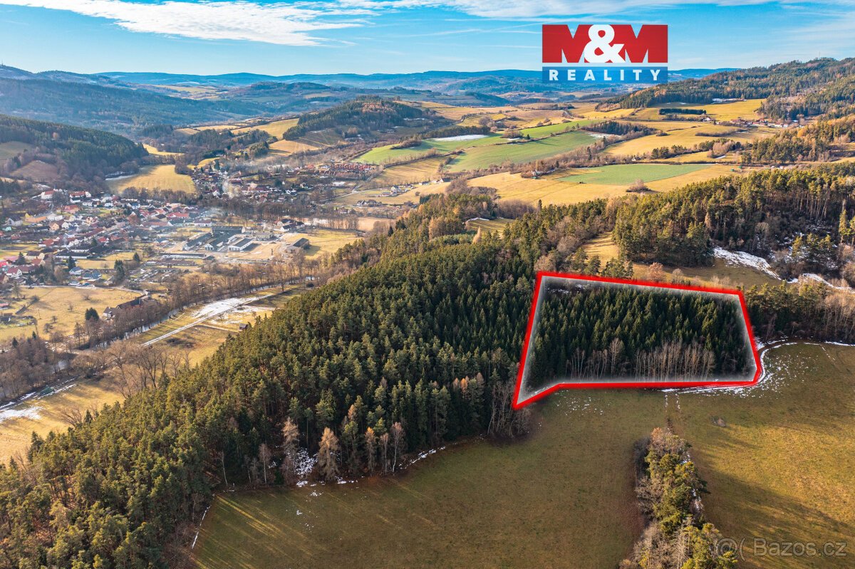 Prodej lesa, 13448 m², Malenice