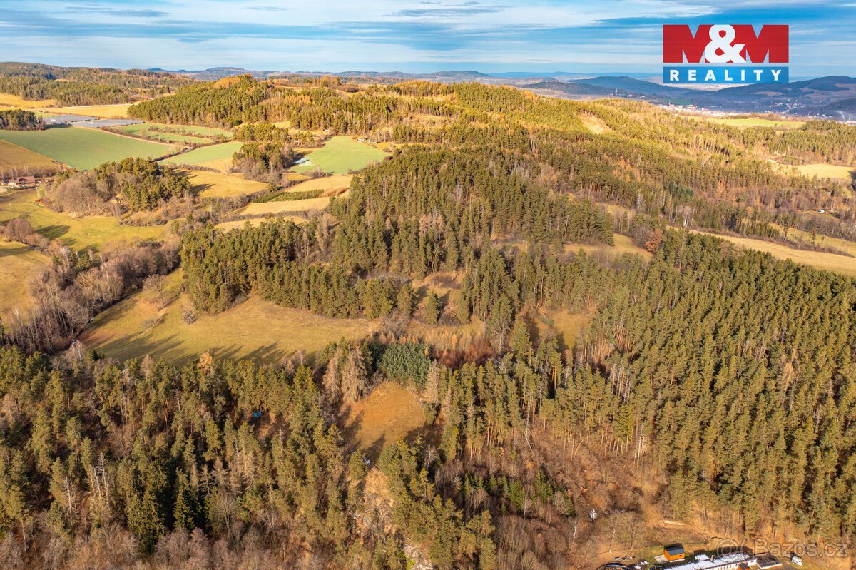 Prodej lesa, 13448 m², Malenice