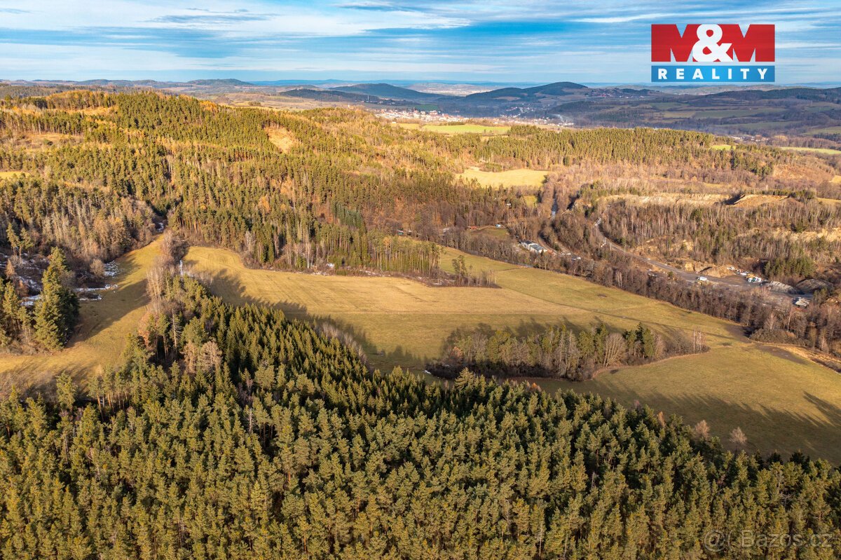 Prodej lesa, 13448 m², Malenice