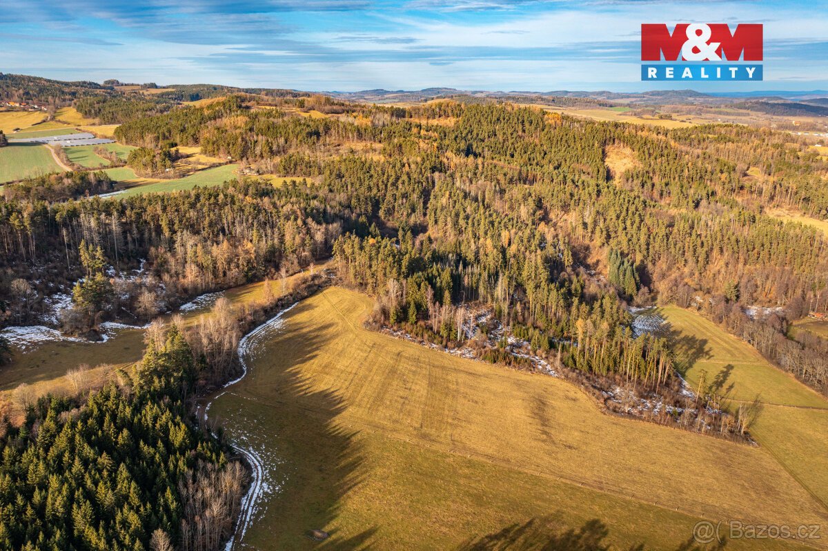 Prodej lesa, 13448 m², Malenice