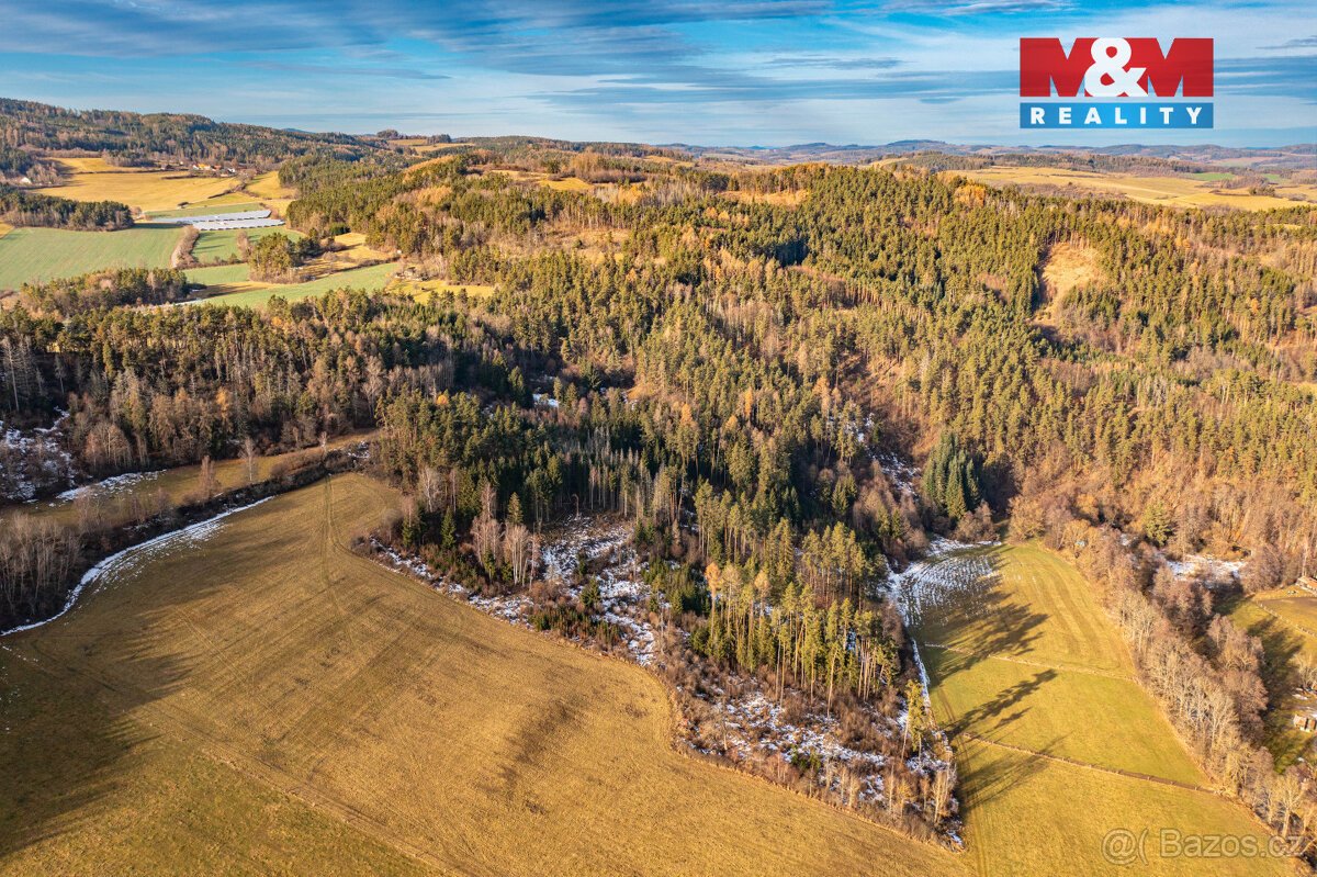 Prodej lesa, 13448 m², Malenice