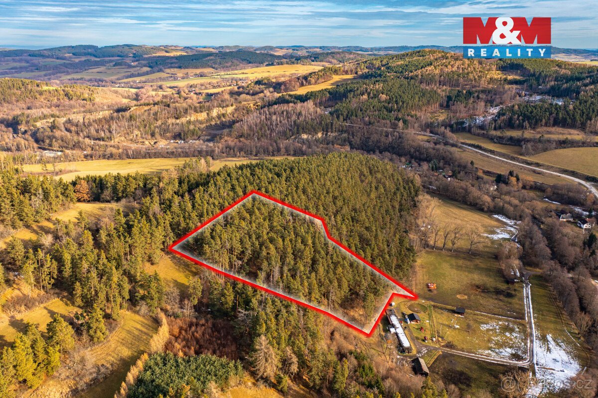 Prodej lesa, 13448 m², Malenice