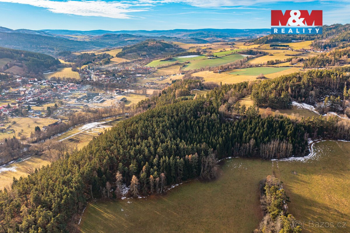 Prodej lesa, 13448 m², Malenice