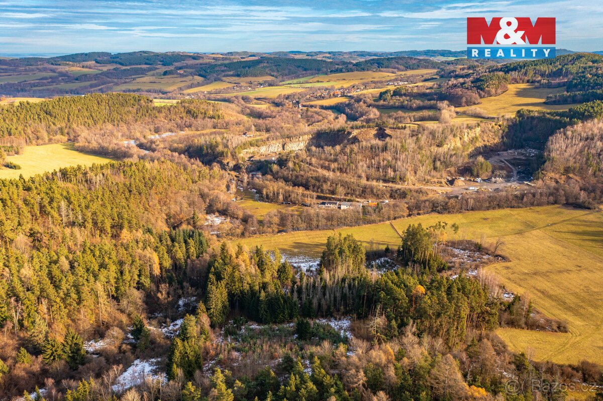 Prodej lesa, 13448 m², Malenice