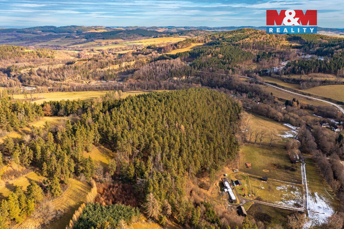 Prodej lesa, 13448 m², Malenice