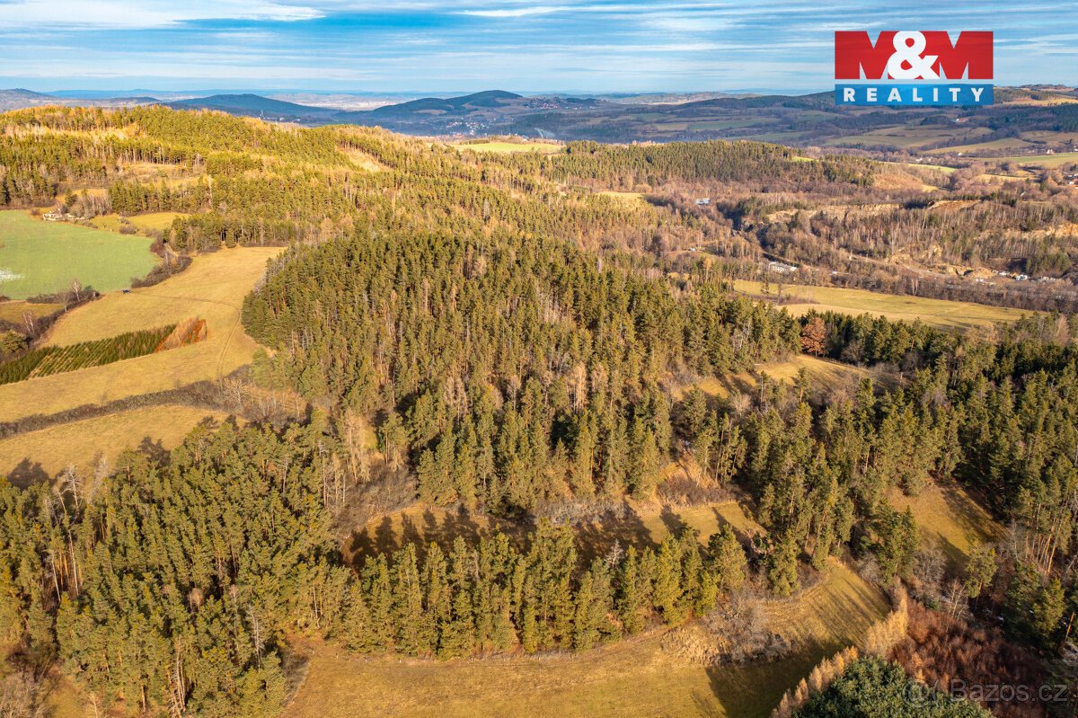 Prodej lesa, 13448 m², Malenice