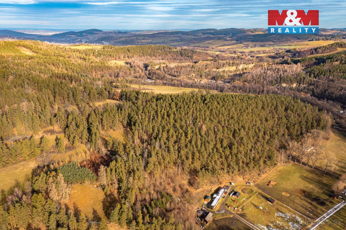 Prodej lesa, 13448 m², Malenice