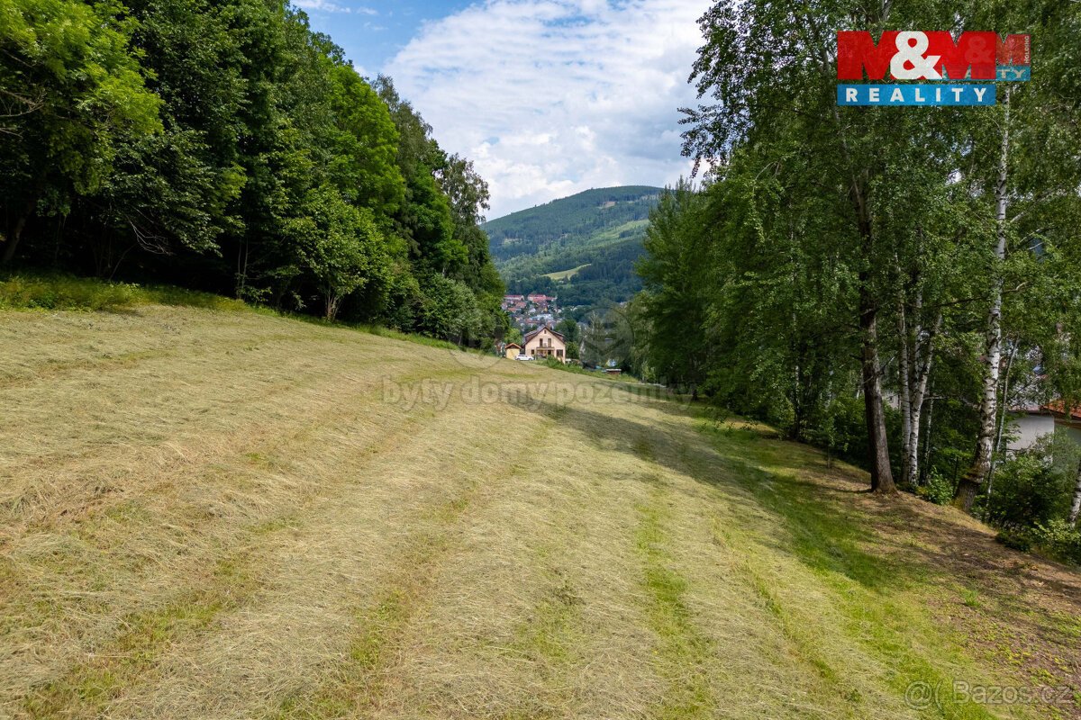 Prodej pozemku k bydlení, 4992 m2, Jeseník, ul. Thámova