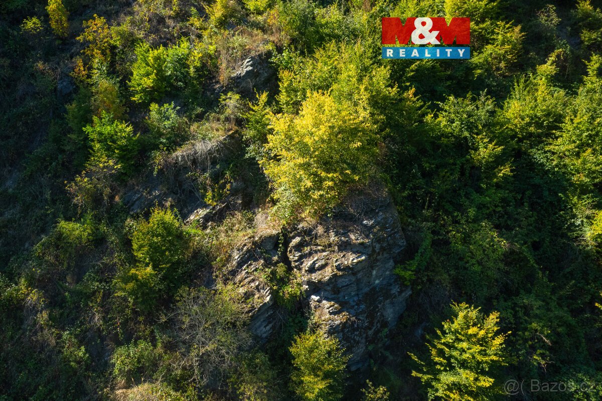 Prodej lesa, 7450 m², Lomnice
