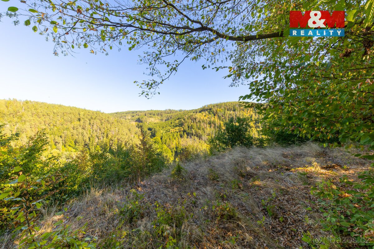 Prodej lesa, 7450 m², Lomnice