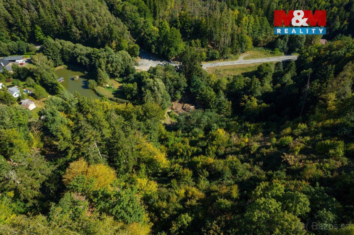 Prodej lesa, 7450 m², Lomnice