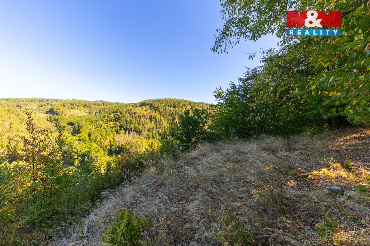 Prodej lesa, 7450 m², Lomnice