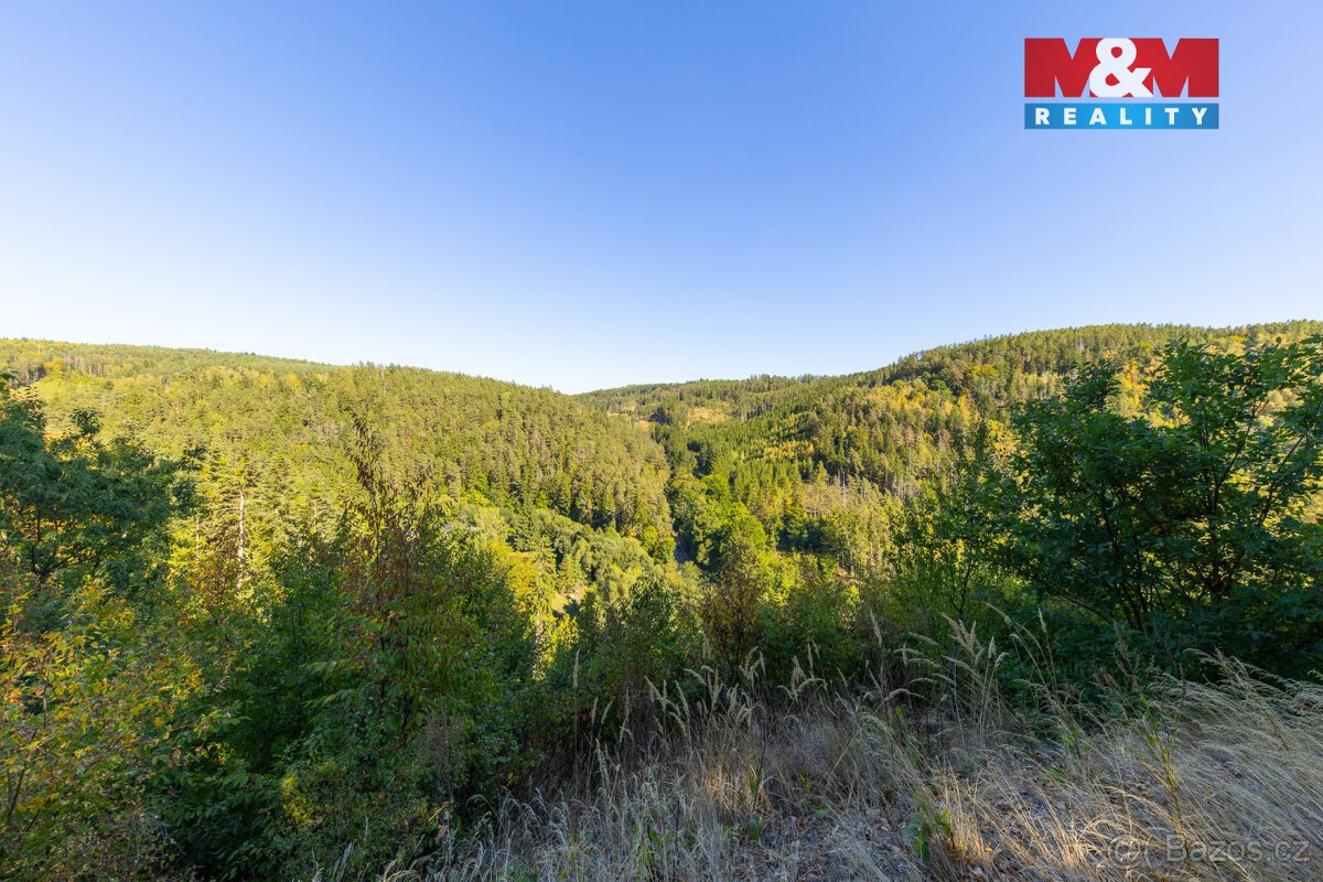 Prodej lesa, 7450 m², Lomnice