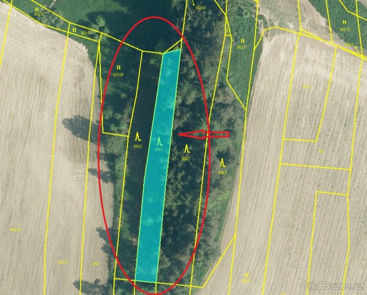 Prodám lesní pozemky v k.ú. Nesměň u Ločenic
