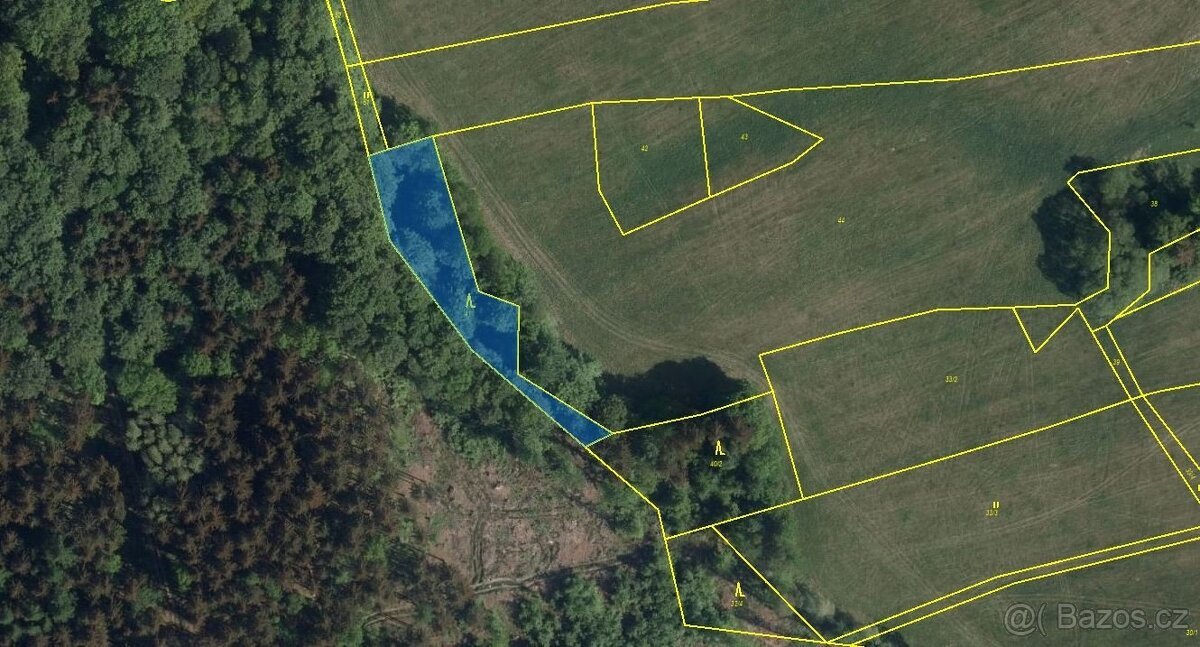 Lesní pozemky (Dolní Počátky, Počátky Horní), Seč, okr. Chru