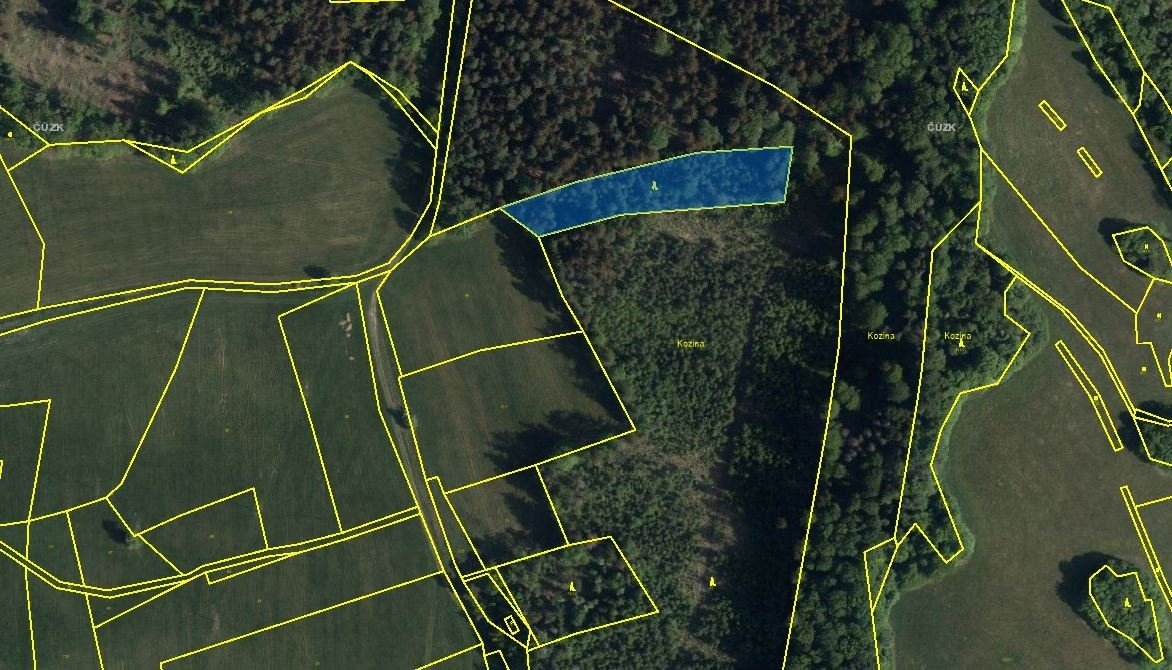 Lesní pozemky (Dolní Počátky, Počátky Horní), Seč, okr. Chru