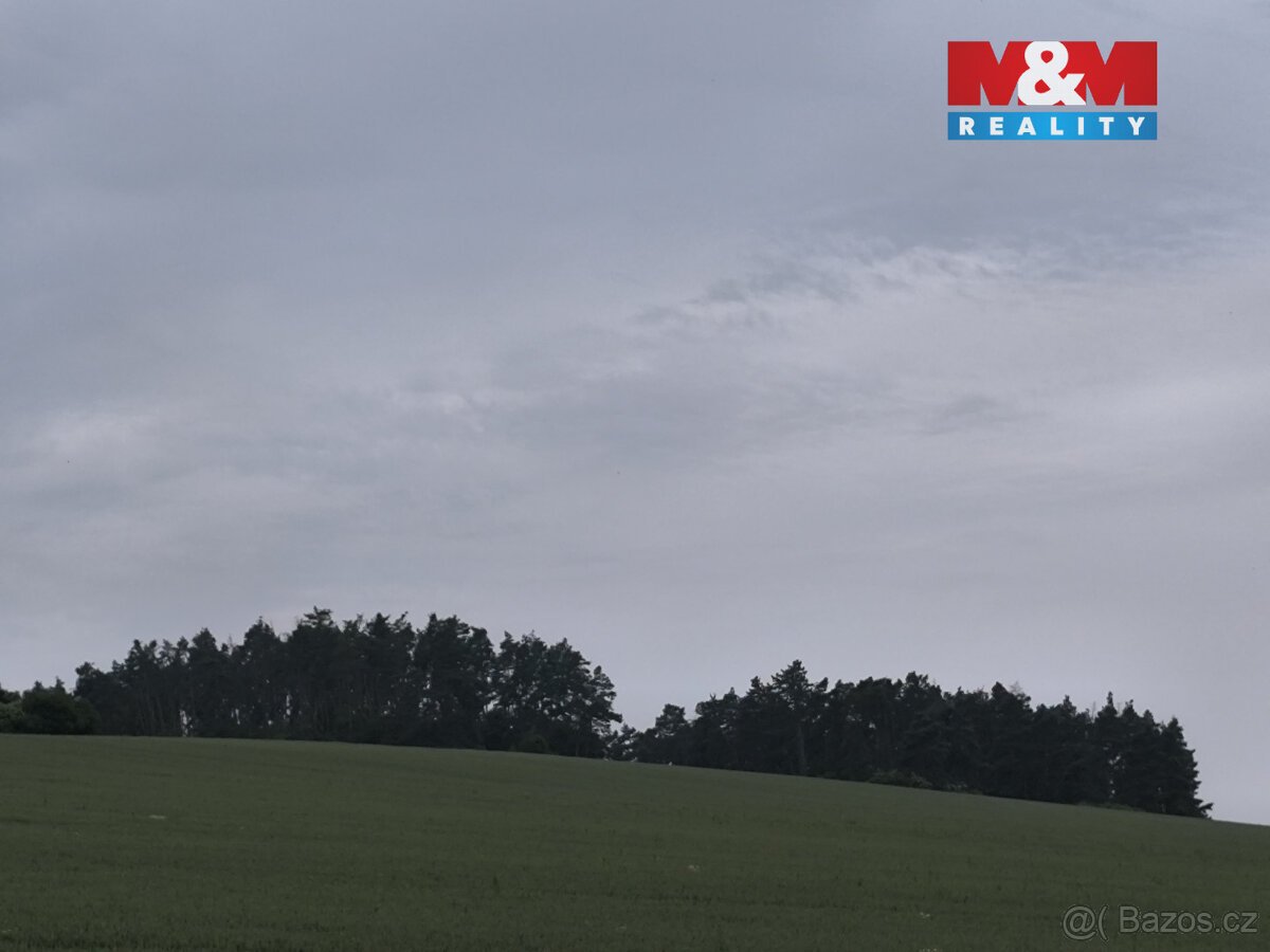 Prodej lesa, 20 128 m², Střelské Hoštice